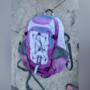 Well-loved Patagonia Chacabuco Pink Backpack